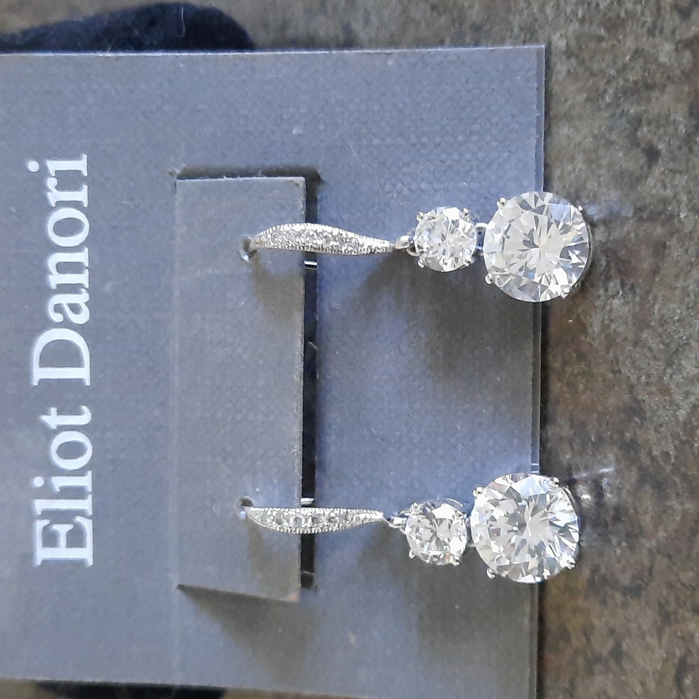 Eliot Danori Silver Earrings